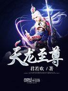 都是天龙至尊晴天