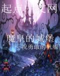 什么城堡什么魔王