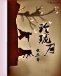 玲珑月结局