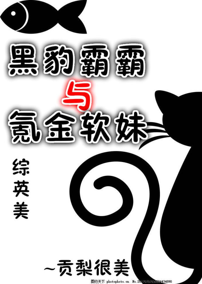 黑豹vn