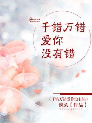 千错万错爱你没有错歌词是什么意思
