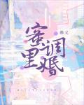 蜜里调婚免费阅读txt