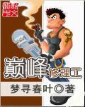 修理厂啊峰倾城之巅