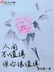 人间不值得纯音乐